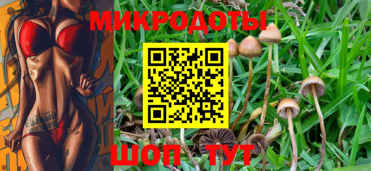 Галлюциногенные грибы ЛСД Чистополь
