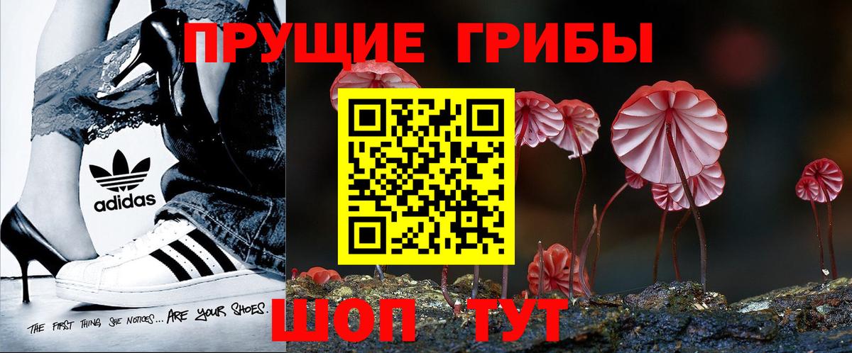 Псилоцибиновые грибы Psilocybe  Вход с VPN  Галлюциногенные грибы прущие грибы  Чистополь 